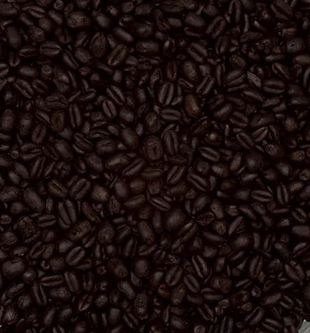 Briess Midnight Wheat Malt - Maillard Malts